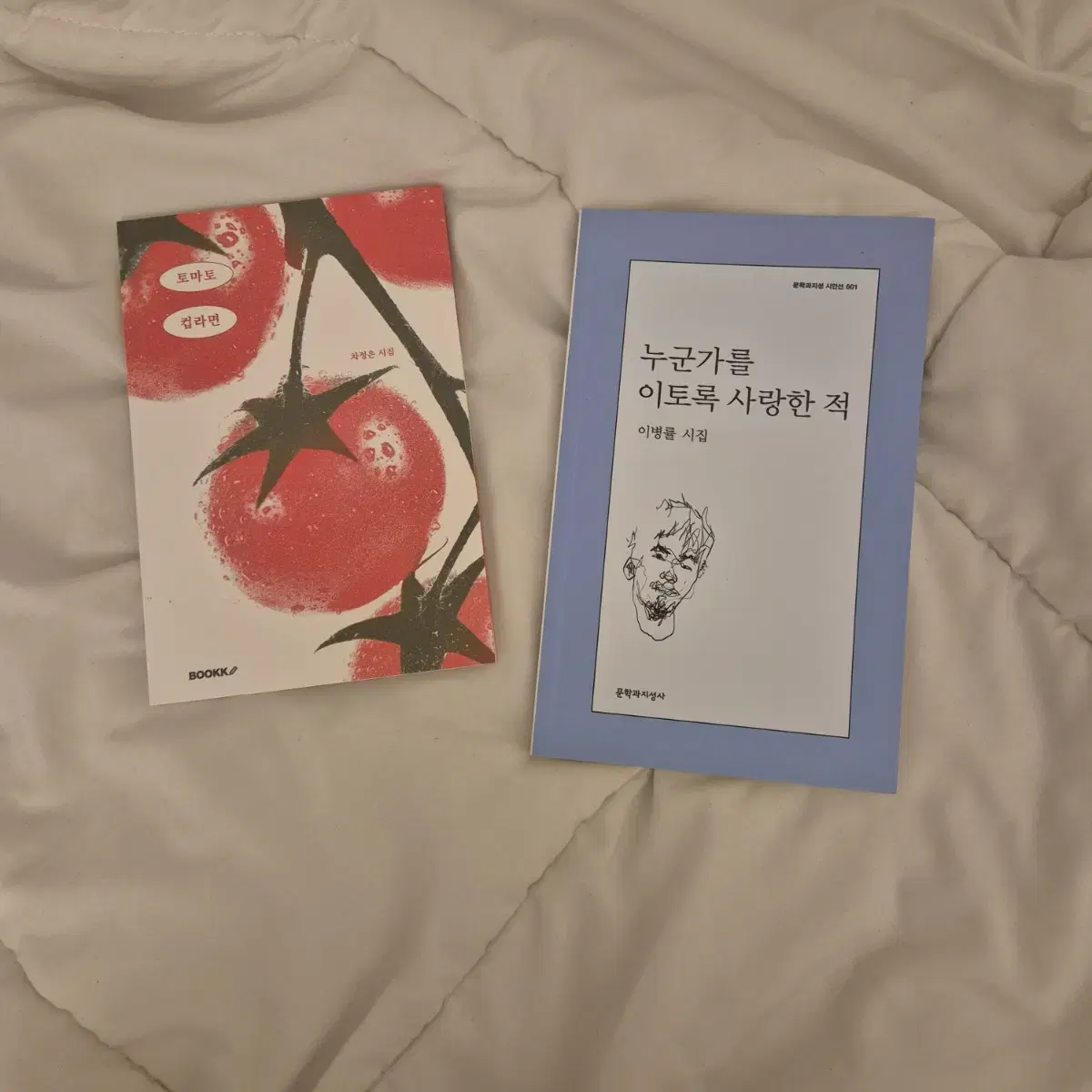 누군가를 이토록 사랑한 적, 토마토 컵라면 시집 판매 차정은 이병률 시인